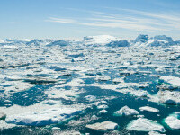 Miliardarii finanțează o vânătoare masivă de comori în Groenlanda, pe măsură ce gheața dispare