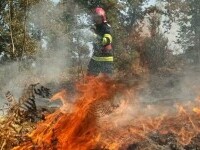 pompieri români franța incendii - 6
