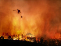 Dezastrul de care ne spun alții. România este a doua cea mai afectată țară din UE de incendiile de pădure