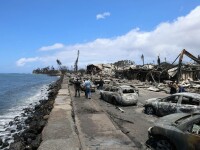 hawaii incendiu vegetatie