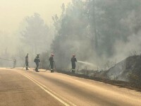 Pompierii români din Grecia, mutați imediat la a doua intervenție, în Dadia. Abia o terminaseră pe prima