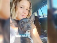 O femeie a rămas fără cățelușa ei, după un zbor cu probleme. Angajații aeroportului l-au pierdut pe pistă