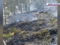 incendiu vegetație Suceava
