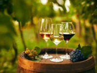 Tipuri de vinuri