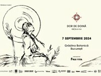 Dor de doina