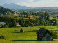 vatra dornei