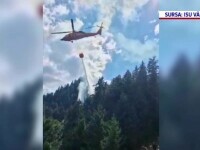 Incendiu de pădure în masivul Buila din Vâlcea. Echipele de intervenție au urcat patru ore ca să ajungă la focare