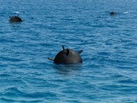 O mină marină a fost descoperită în Marea Neagră, în apropiere de coasta Turciei