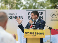 George Simion