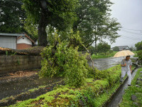 taifun japonia