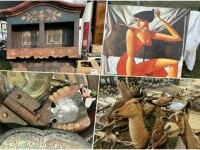 targ de vechituri timisoara