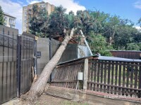 Furtună puternică în Sighetu Maramaţiei: gospodării afectate, străzi inundate de apă