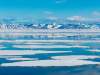 Arctica a înregistrat cel mai călduros an din istoria măsurătorilor meteorologice, arată un raport NOAA