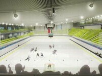 Patinoar