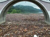 Intervenții urgente în comuna Borca din judeţul Neamţ, după declararea stării de alertă. Gunoaie întinse pe 7 hectare