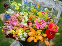 (P) Cadouri care contează: Cum să faci o surpriză memorabilă de ziua celor dragi