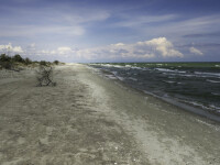 sfântu gheorghe - delta dunării - plaja