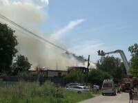 incendiu bacau
