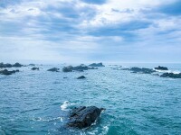 mare