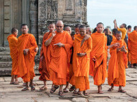 calugari shaolin telefoane