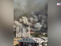 incendiu vegetatie