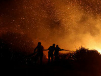 incendii grecia si turcia