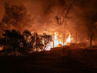incendii grecia si turcia