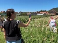 Sărbătoarea tuberozelor, atracția unei mici localități din Sibiu. S-au vândut 100.000 de flori într-o singură zi