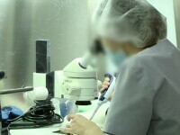 in vitro
