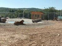 Zoo