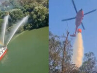 incendiu vegetatie delta dunarii