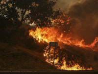 Portugalia cere ajutor Europei pentru incendiile devastatoare. 3.500 de pompieri luptă cu 10 focare majore