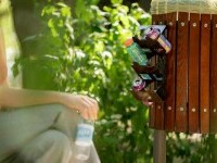 Coșuri de gunoi speciale în București, pentru cei care strâng ambalaje SGR să recupereze valoarea garanției