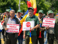 Reforma Romsilva, criticată de sindicaliști. Proiectul are „erori de ordin juridic şi administrativ”, acuză silvicultorii