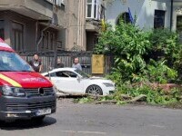 Două femei au ajuns de urgență la spital după ce le-a căzut o creangă în cap, în Sectorul 2