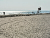 Băiat de şase ani, căutat după ce a dispărut de pe o plajă din Mamaia Nord