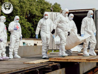 Rusia și Ucraina au făcut schimb de cadavre. Moscova a predat corpurile a 1.000 de militari