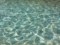 Turiștii aruncă milioane de euro în Fontana di Trevi. Ce se întâmplă cu monedele