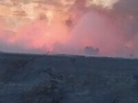 incendiu vegetatie mahmudia