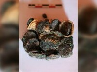 Tezaur de aproape două milenii, descoperit la Histria. Obiectele provin dintr-o locuință din perioada romană