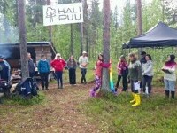 Campionatul mondial de îmbrățișat copaci, dincolo de Cercul Polar. Care sunt cele trei probe ale concursului inedit