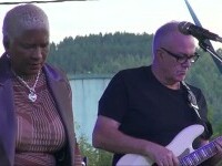 Festival blues artisti