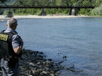 politia de frontiera, vamesi