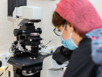 (P) Fertilitatea: Ce putem controla, când să cerem ajutor și cum ne poate salva genetica