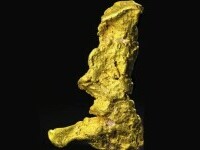 Un bărbat a descoperit o pepită de aur de 12 kg în deșert și a vândut-o pe nimic. Acum valorează 1,5 milioane de dolari