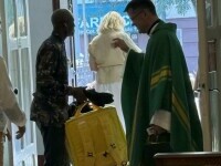 francisc dobos livrator strain