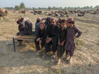 Germania reia relocarea afganilor blocați în Pakistan. Ce a accelerat decizia, după luni în care a fost suspendată