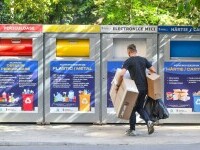 colectare selectiva deseuri sector 6