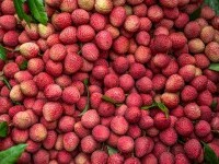 Totul despre litchi - micile biluțe pline de dulceață. Cum se mănâncă și ce beneficii are acest fruct pentru sănătate