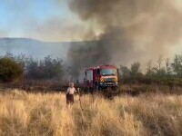 Incendii de vegetație în județul Mehedinți. Trei case au fost distruse și sute de hectare au fost mistuite de flcăcări